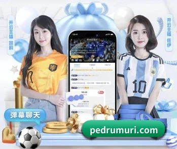 星空体育网页版入口的故事